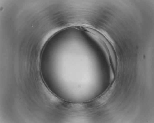 X0000088581246200706081115