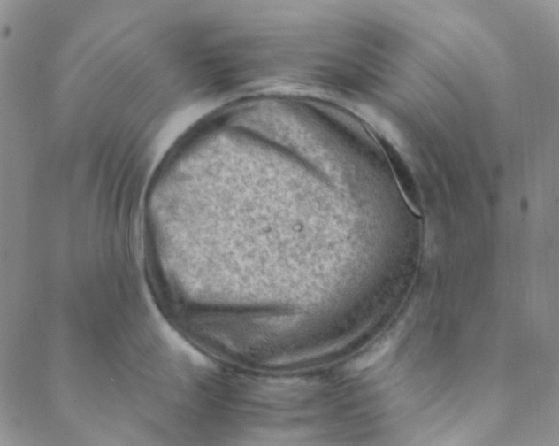 X0000088581247200706081115