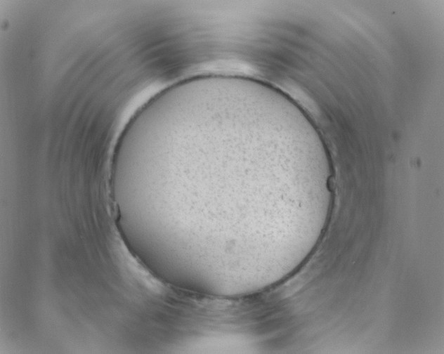 X0000088581248200706081115