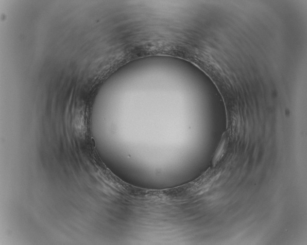 X0000088581250200706081114