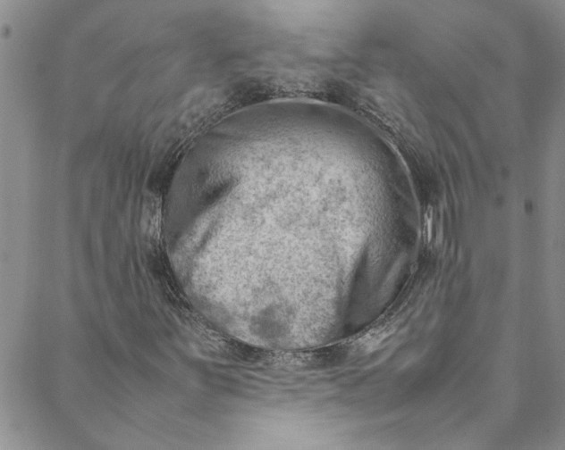 X0000088581251200706081114