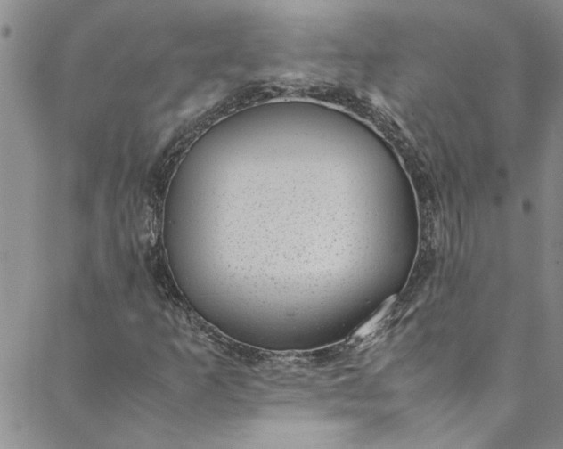 X0000088581253200706081114