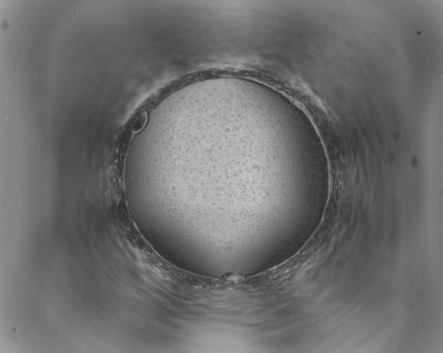 X0000088581256200706081114