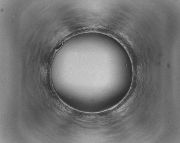 X0000088581257200706081114