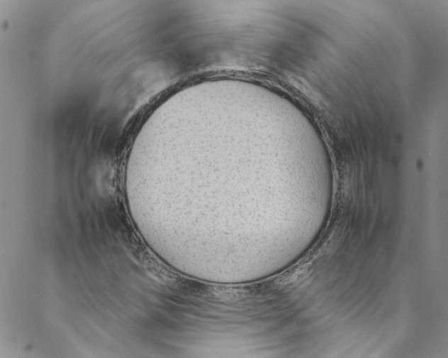 X0000088581258200706081114