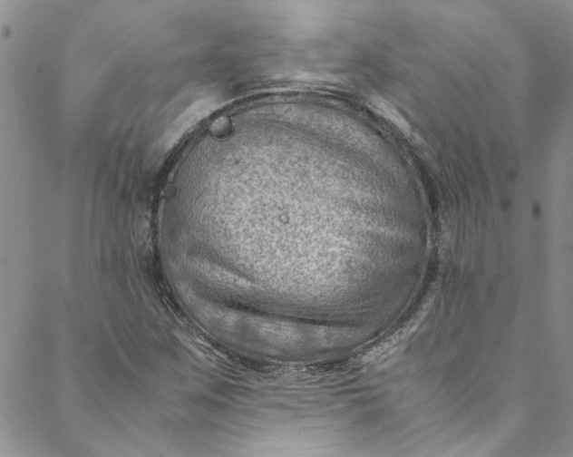 X0000088581259200706081114