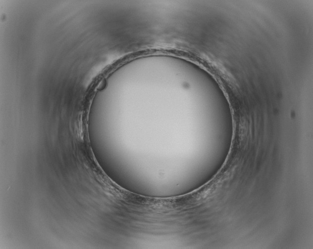 X0000088581262200706081114