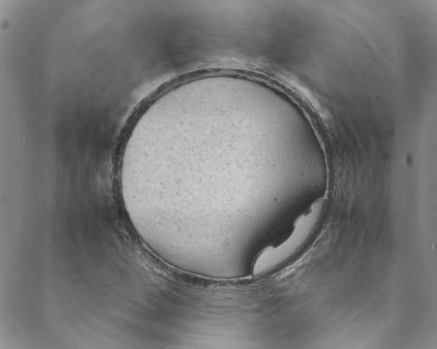 X0000088581264200706081114