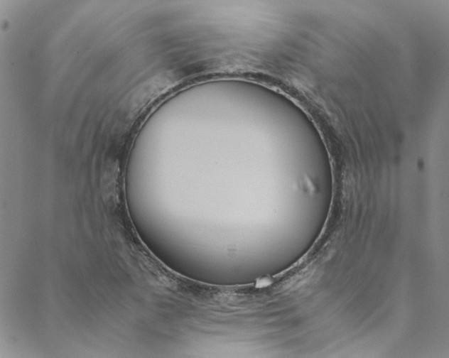 X0000088581265200706081114