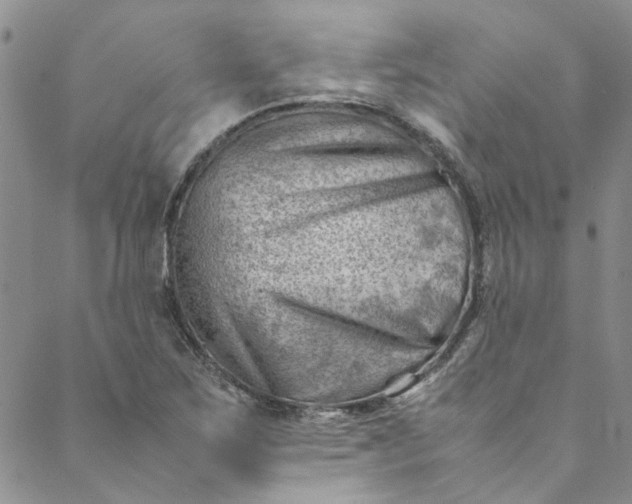 X0000088581267200706081114