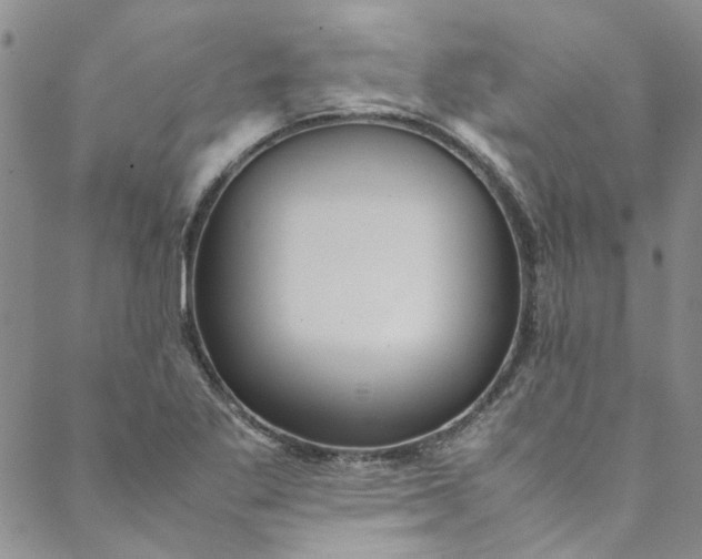 X0000088581269200706081114