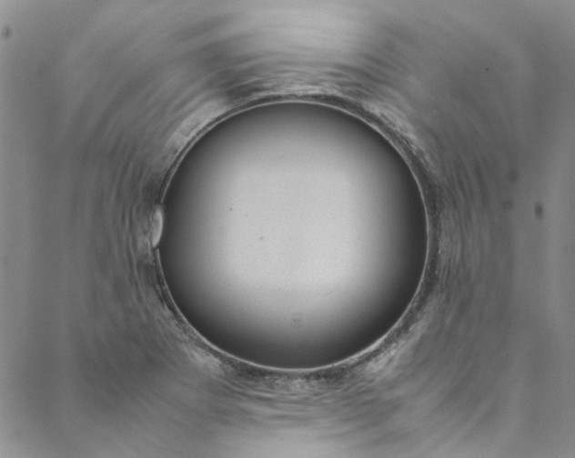 X0000088581273200706081114