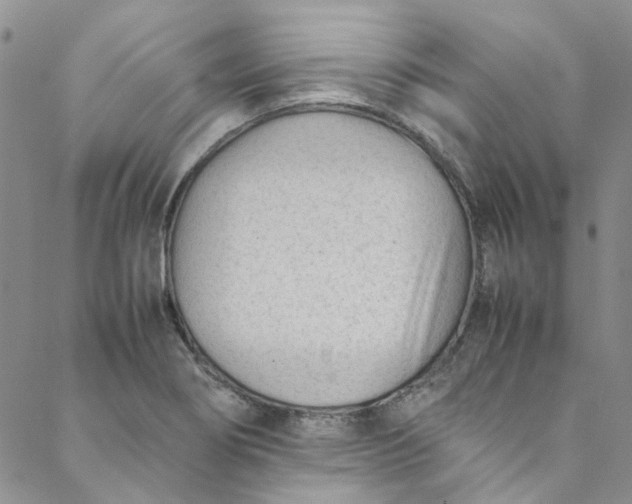 X0000088581274200706081114