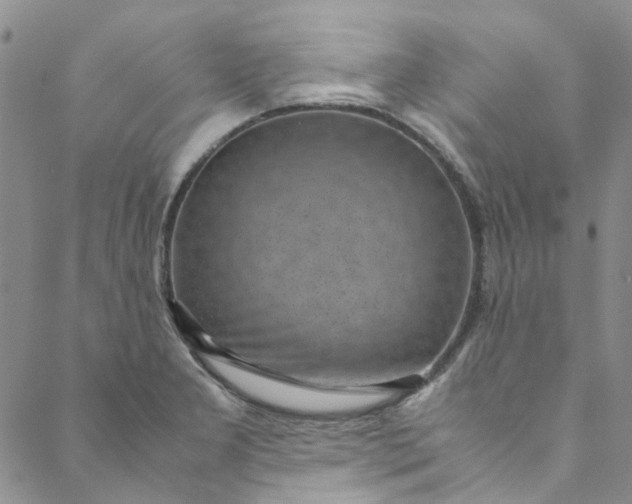 X0000088581277200706081114