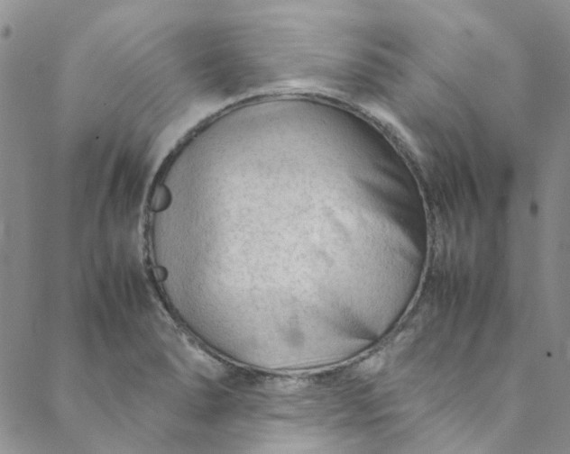 X0000088581278200706081114