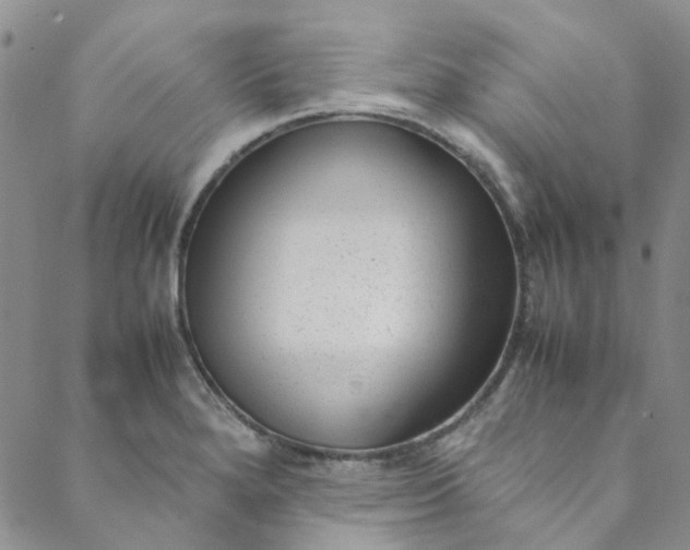 X0000088581280200706081113