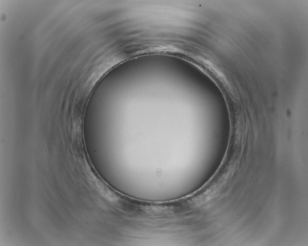 X0000088581281200706081113