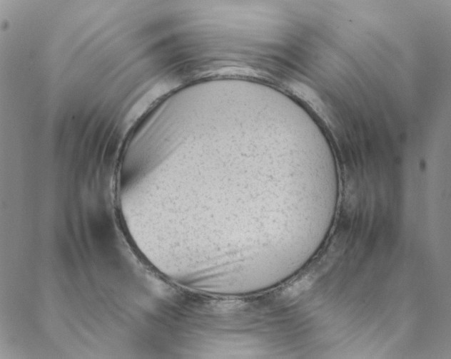 X0000088581282200706081113