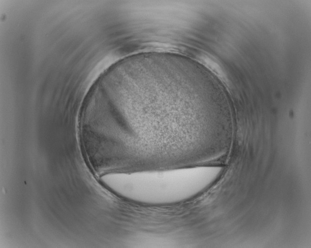 X0000088581283200706081113