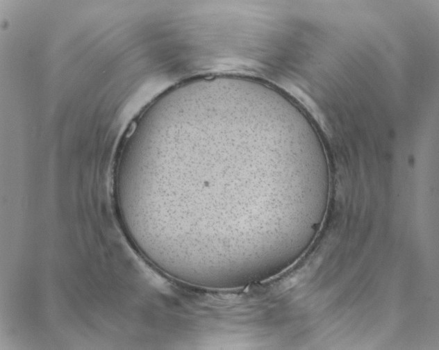 X0000088581285200706081113