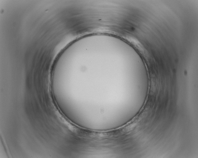 X0000088581286200706081113