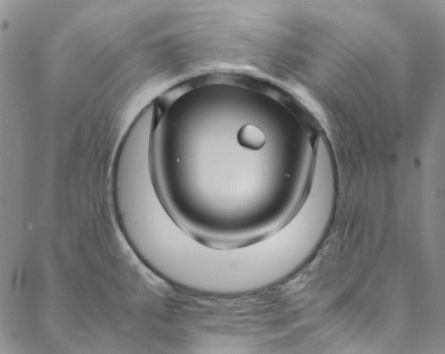 X0000088581287200706081113