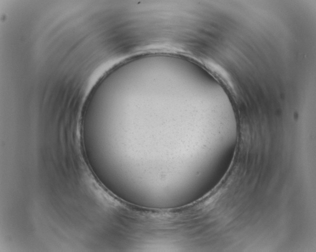 X0000088581288200706081113