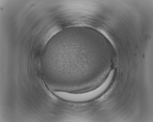 X0000088581289200706081113