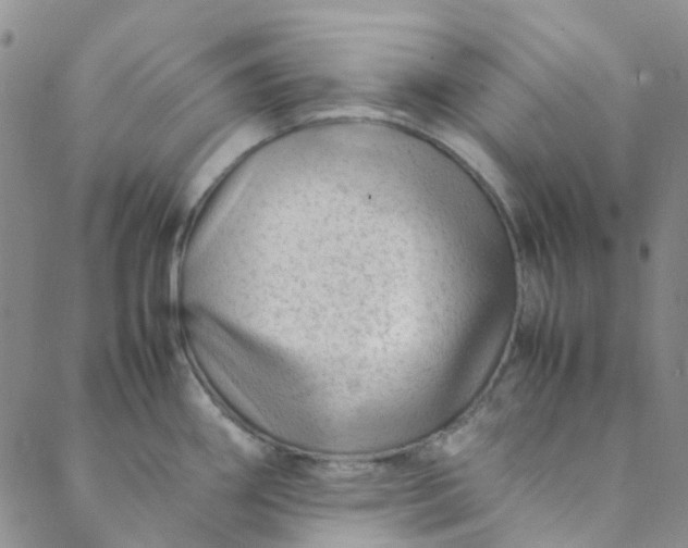 X0000088581290200706081113