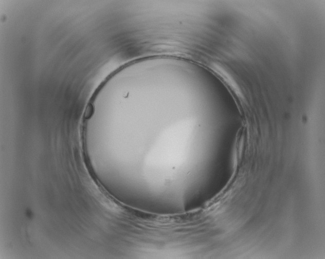 X0000088581291200706081113