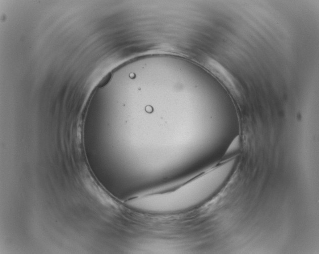 X0000088581292200706081113