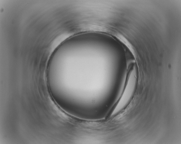 X0000088581293200706081113