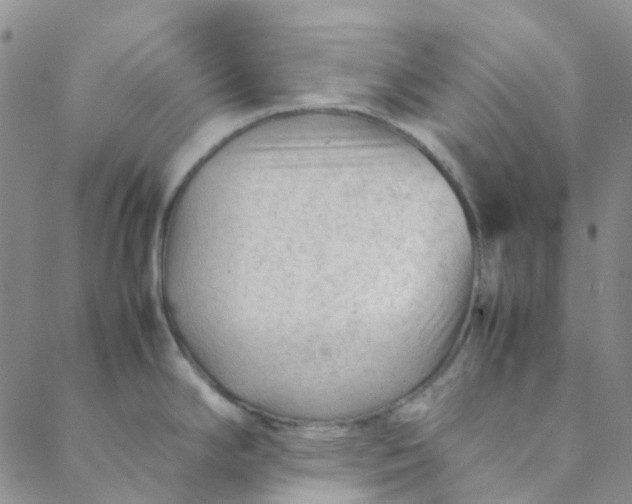 X0000088581294200706081113