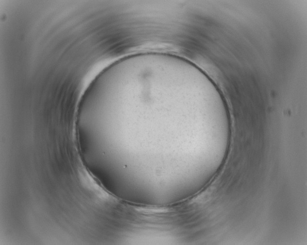 X0000088581296200706081113