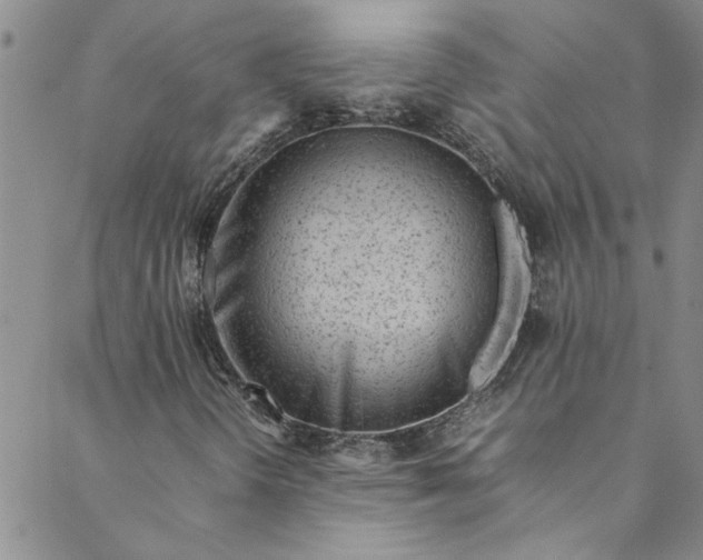 X0000088581298200706081112