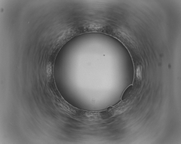 X0000088581299200706081112