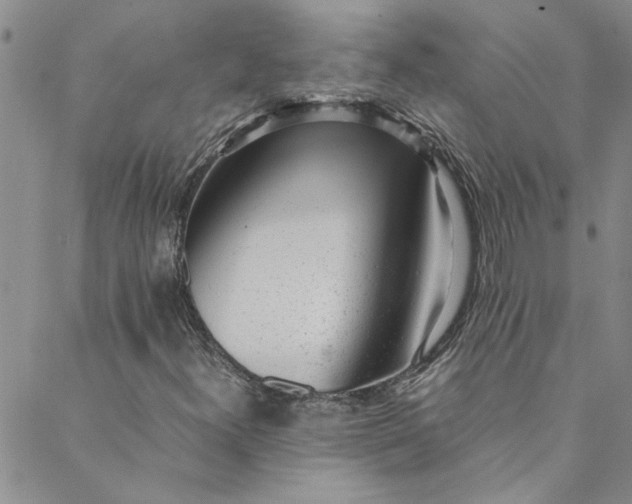 X0000088581300200706081113