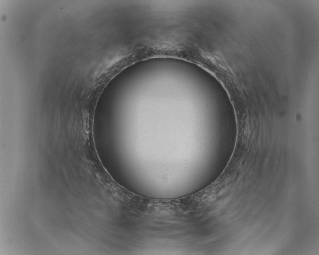 X0000088581301200706081113