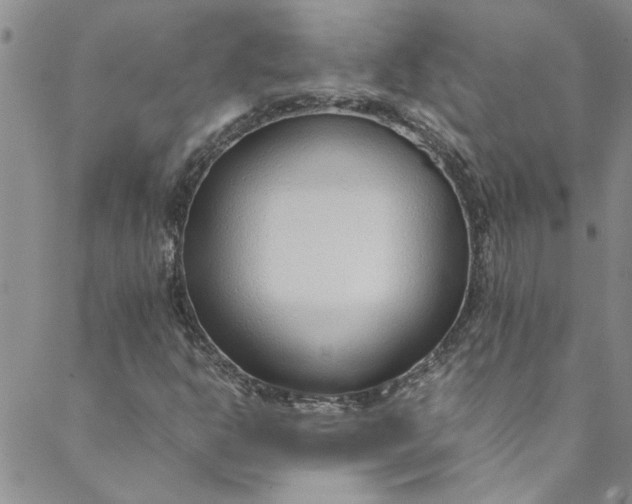 X0000088581302200706081113