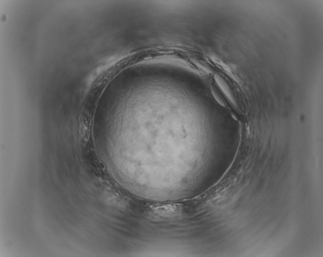 X0000088581303200706081113