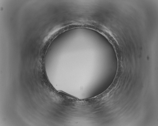 X0000088581304200706081113