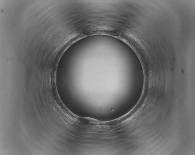 X0000088581305200706081113