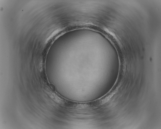 X0000088581306200706081113