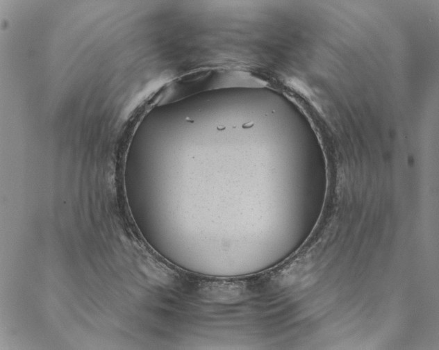 X0000088581307200706081113