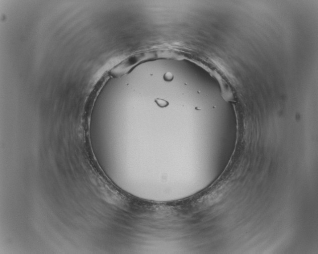 X0000088581308200706081113