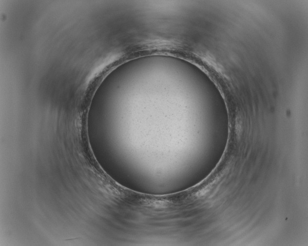 X0000088581309200706081113