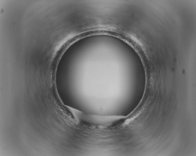 X0000088581310200706081113