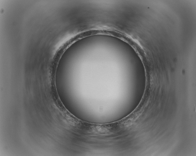 X0000088581311200706081113