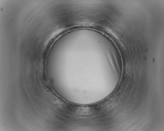 X0000088581315200706081113