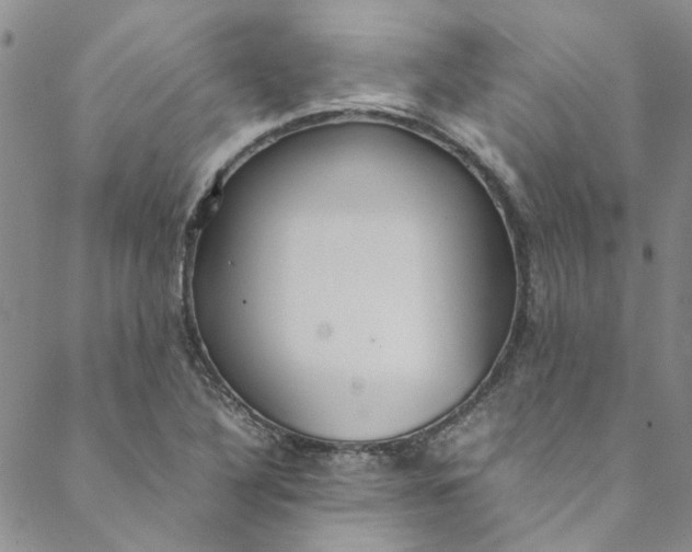 X0000088581316200706081113